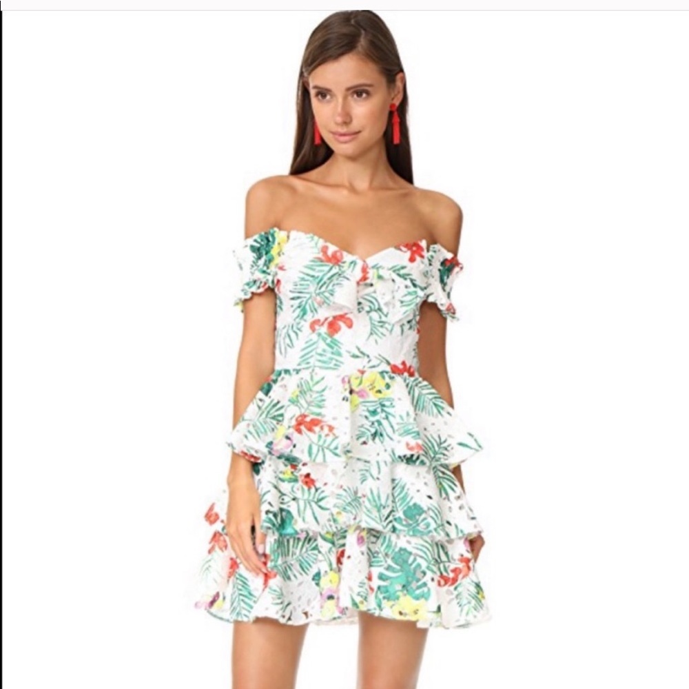 Caroline Constas Tiered Helena Lace Dress